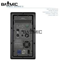 Module d'amplificateur actif en métal de classe D 1000W de l'usine Aoshen pour caisson de basses
