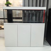 Meilleur choix : Grand aquarium transparent sur pied, séparateur de pièce, éclairage LED USB, grand aquarium