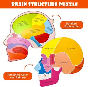 Puzzle anatomi otak kayu 16 bagian struktur otak biologi Jigsaw <span class=keywords><strong>STEM</strong></span> pendidikan mainan anak-anak untuk anak laki-laki perempuan usia 3 + Tahun - Product Image 5
