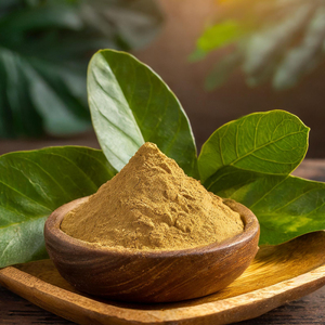Tự nhiên và cao cấp 20:1 <span class=keywords><strong>eucommia</strong></span> <span class=keywords><strong>extract</strong></span>/<span class=keywords><strong>eucommia</strong></span> chiết xuất bột - Product Image 4