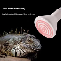 Lampe LED céramique à économie d'énergie, culot E27, alimentation CA, design A19 pour chauffage de terrarium de dragon barbu