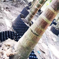Pot de propagation pour le contrôle des racines des plantes, favorisant une croissance rapide des racines, en HDPE biodégradable, écologique, léger, avec système d'élagage aérien
