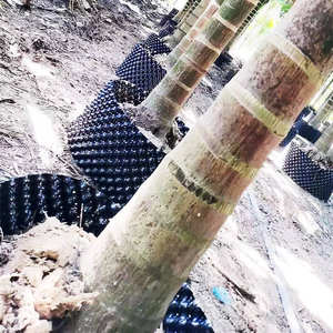 Maceta de <span class=keywords><strong>poda</strong></span> aérea para control de raíces y propagación de plantas, de HDPE, biodegradable, ecológica, ligera, para crecimiento rápido de raíces - Product Image 6