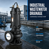 Pompe submersible en fer pour drainage des eaux usées industrielles, haute pression, avec 2 ans de garantie pour les systèmes de traitement des eaux