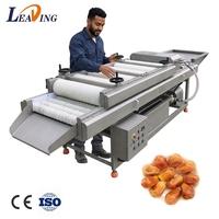 Medjool dadels borstelreinigingsmachine nylon zachte borstel groente fruit wasmachine voor palm verse gedroogde dadels voedselverwerking