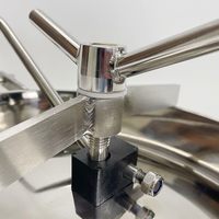 Manway ovale sanitaire en acier inoxydable pour cuve de fermentation