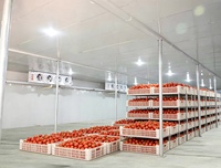 Chambre froide commerciale pour fruits et légumes, chambre froide de plain-pied pour stockage