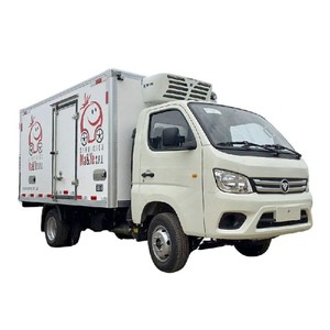 Camión Refrigerado Diésel Foton 4x2 Mini 3T para Carne y Pescado con Emisión Euro 3 - Product Image 4
