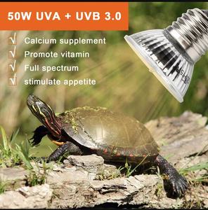 Sản phẩm mới E27 rùa ấm trở lại bóng đèn 25W 50W 75W UVA UVB bò sát Bóng đèn Halogen nóng ấm đèn cốc thủy tinh làm - Product Image 6