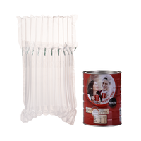 Sac à colonne d'air gonflable de 450*300 mm d'épaisseur 65 µm pour raisin de 1,5 kg
