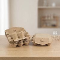 Plateau à œufs en pulpe moulée compostable, écologique, 6 emplacements, résistant aux chocs, conception personnalisée, fournisseur OEM en gros