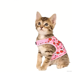 Escape Proof Strawberry Prin Pet <span class=keywords><strong>Harness</strong></span> Leash Bag Set Colete Ajustável Luxo Personalizado Sem Pull Dog <span class=keywords><strong>Cat</strong></span> <span class=keywords><strong>Harness</strong></span> - Product Image 1