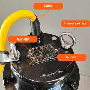 Pompa Centrifuga Sommergibile Monostadio di Alta Qualità per Acque Reflue 60m³/h Trattamento Acque Nere Certificata CE <span class=keywords><strong>230V</strong></span> 0.75KW - Product Image 6
