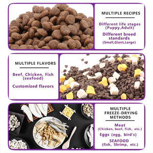 Genel amaçlı her yaştan kuru davranır tahıl ücretsiz artı besin emilimini teşvik 18% ila 42% ham Protein köpek maması - Product Image 3