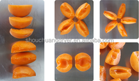 Shouchuang Automatische Fruitkern Verwijderaar Pitter Pruimenpruim Abrikoos Pitting En Snijmachine
