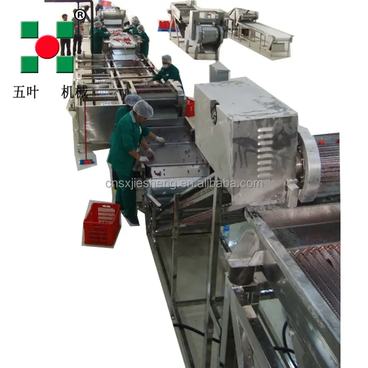 Equipamento De Processamento De Frutas Totalmente Automático China Fez Linha De Congelamento De Lavagem De Cereja Linha De Frutas E Legumes De Aço Inoxidável