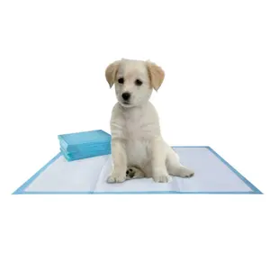 Vente en gros de couches super absorbantes jetables pour chiots et chiens, échantillon gratuit de lit absorbant l'urine pour chiots, coussinets d'entraînement bon marché