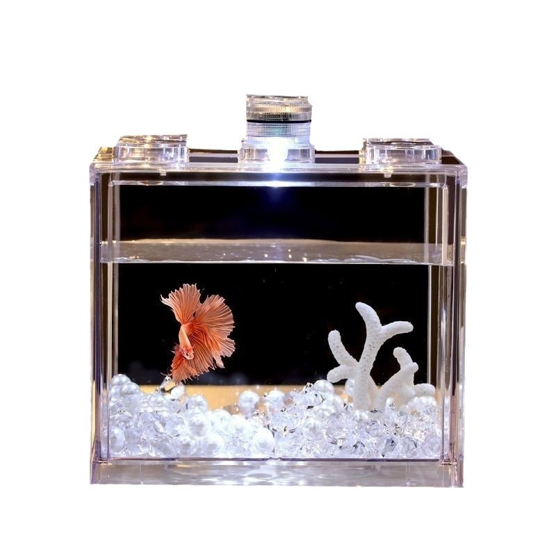 build live fish box Kisangel Portable Transparent Viewing 4.92X4.33X1.49In Lightweight Aquarium Fish Breeding Container Small Betta Tank for Desktop Observation and Care : Pet Supplies Poly live bait tank build