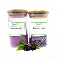 100% Natuurlijk Zwarte Vlierbessenextract Poeder 5%~25% Anthocyanen Voedingskwaliteit Vlierbessenextract voor Immuunondersteuning