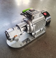 Vente directe d'usine, petite pompe à double engrenage WCB, pompe à huile portable, pompe de transfert de diesel électrique