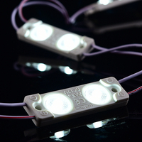 Module LED d'injection SUNLITE haute luminosité DC12V 2 diodes 1W IP65 pour enseignes extérieures lumineuses Blanc pur/Blanc froid