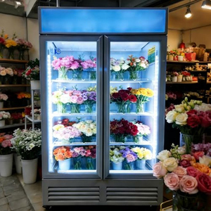 Vitrina Refrigerada Vertical para Exhibición de Flores, de Una Puerta, para Mantener las Flores Frescas - Product Image 4