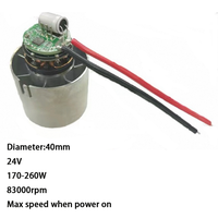 Moteur CC sans balais DH-BL29 12V 24V 10A 83000 tr/min 170-260W pour ventilateur puissant, sèche-cheveux, sèche-mains, souffleur turbo