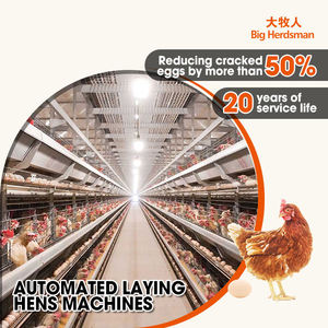 Sistema de Jaulas para <span class=keywords><strong>Gallinas</strong></span> Ponedoras Tipo H Totalmente Automático para Avicultura, Jaula de Alta Calidad para <span class=keywords><strong>Gallinas</strong></span> Ponedoras - Product Image 1