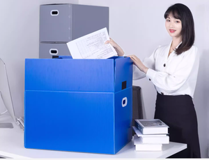 Tùy chỉnh bao bì nhựa vận chuyển hộp đồ lót Hộp sóng - Product Image 3