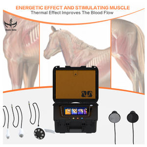 Magicbelle Machine de thérapie RF de bureau portable Tecar Thérapie vétérinaire équine pour le soulagement de la douleur des chevaux Traitement ciblé du visage efficace - Product Image 5
