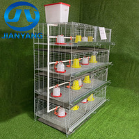 Cage à poulets de type H galvanisée robuste avec cadre renforcé et sol en plastique pour l'élevage avicole