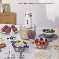 Mini Hachoir Électrique Haute Puissance pour Viande, Ail, Légumes et Volaille, Robot Culinaire Domestique avec 3 Bols Mélangeurs