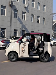 Scooter électrique à 4 roues entièrement fermé China Mika 2026 pour femmes adultes à domicile - Product Image 2