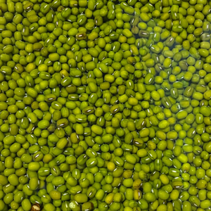New Crop Indian Gujarat <b>Green</b> Moong <b>Beans</b> Premium Export Quality Clean Uniform Grains Natural Freshness Excellent Sorting Fitree - Product Image 1