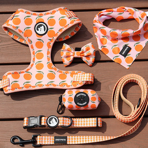 Arnés para Perro Personalizado OEM/ODM, Accesorios para Mascotas, Acolchado Suave, Poliéster con Estampado, Conjunto de Arnés para Perro / Harnais Pour Chiens - Product Image 1
