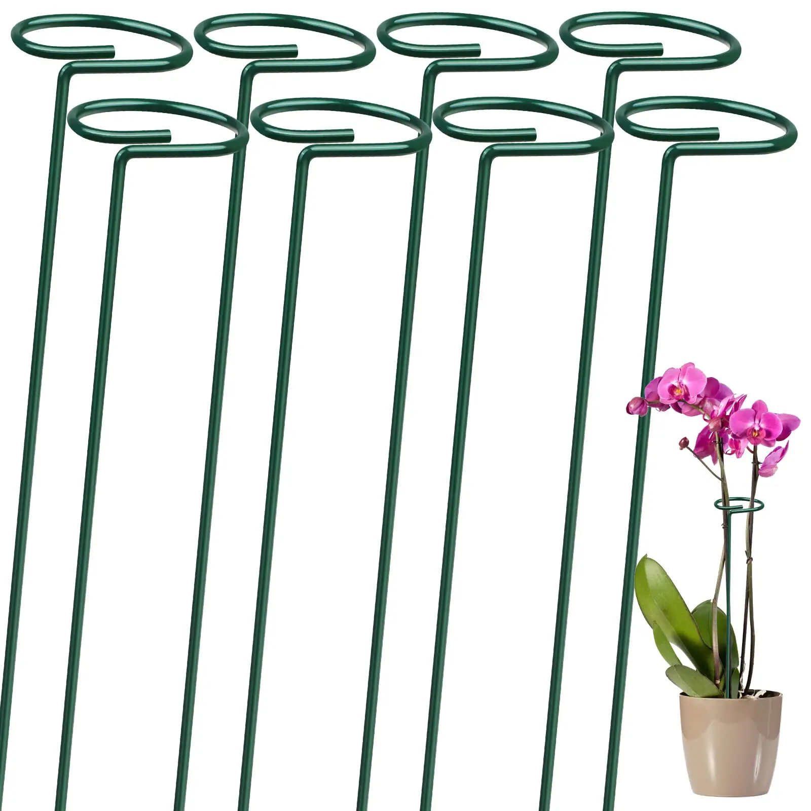 Pali di supporto per piante giardino stelo singolo gabbia per piante da fiore anello di supporto bastoncini per piante per Amaryllis orchidea peonia fiore di pomodoro