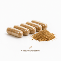 Capsules d'extrait de Ganoderma Lucidum végétaliennes sans OGM à marque privée pour la relaxation nocturne et le bien-être du soir des adultes – Améliore le sommeil