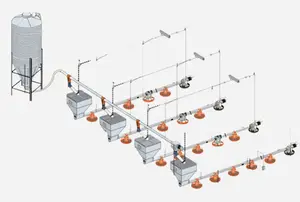 Équipement d'élevage de volaille de haute qualité de ligne d'alimentation de poulet et de ligne d'eau