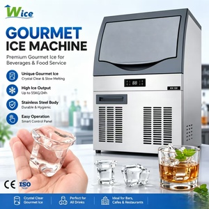 Machine à glace automatique haut de gamme en acier inoxydable pour bars, hôtels et clubs – Production 200 kg/24h - Product Image 1