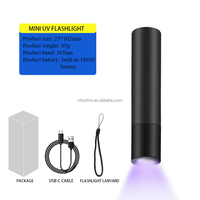Mini lampe UV portable avec batterie au lithium intégrée 365 nm ultraviolette pour la détection des éléments fluorescents