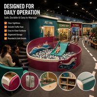 Équipement de terrain de jeu intérieur, Spa commercial pour animaux de compagnie, Flower TV, Science Ball Pit City, Conforme RoHS, Projet préscolaire