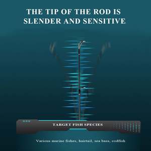 Canne à pêche en mer Fuji à haute teneur en carbone de haute qualité 30T coulée de filature sincère et canne à pêche lente pour la pêche en mer et fraîche - Product Image 3