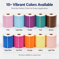 Étiquettes thermiques directes couleur 100x50mm, rouleau de papier thermique multicolore auto-adhésif, 500 étiquettes/rouleau pour imprimante d'étiquettes d'expédition