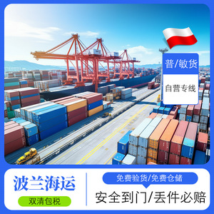 Sea Whale Poland Sea Freight Line International Logistics Freight Forwarding DDP Door To Door Express Service - Product Image 4