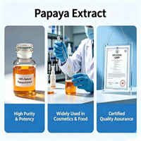 Poudre d'extrait de papaye Carica de qualité alimentaire certifiée GMP, riche en papaïne, antioxydant, matière première exfoliante pour sérum, masque, lotion corporelle