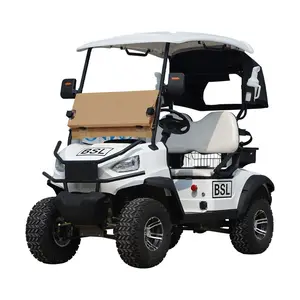 Trung Quốc Điện Thiết Kế Chuyên Nghiệp Xe Golf Điện 2 Ghế Golf Giỏ Hàng Giá Rẻ Điện Golf Cartscross-Đất Nước Săn Bắn