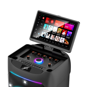 Potente Sistema Karaoke KTV Mobile con Trolley, 8'' 2-way, 2GB RAM/64GB ROM, Wi-Fi, Android 13.0, Schermo 11.6'', 120W - Product Image 4