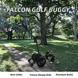 Chariot de golf automatique intelligent BETETEK, construction en alliage d'aluminium, vitesse de 7 km/h, portée de 45 km, capacité de charge de 80 kg pour le golf - Product Image 1
