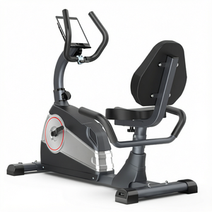 Bicicleta de Ejercicio Reclinada Negra con Resistencia Magnética, Pantalla Digital, Asiento Ajustable, Bicicleta de Ciclismo para Ejercicio en Casa - Product Image 1