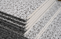 Surface rayée robuste, résistante aux pulvérisations de sel, aux produits chimiques et à la corrosion, antirouille, style architectural moderne et minimaliste, en métal pour la maison